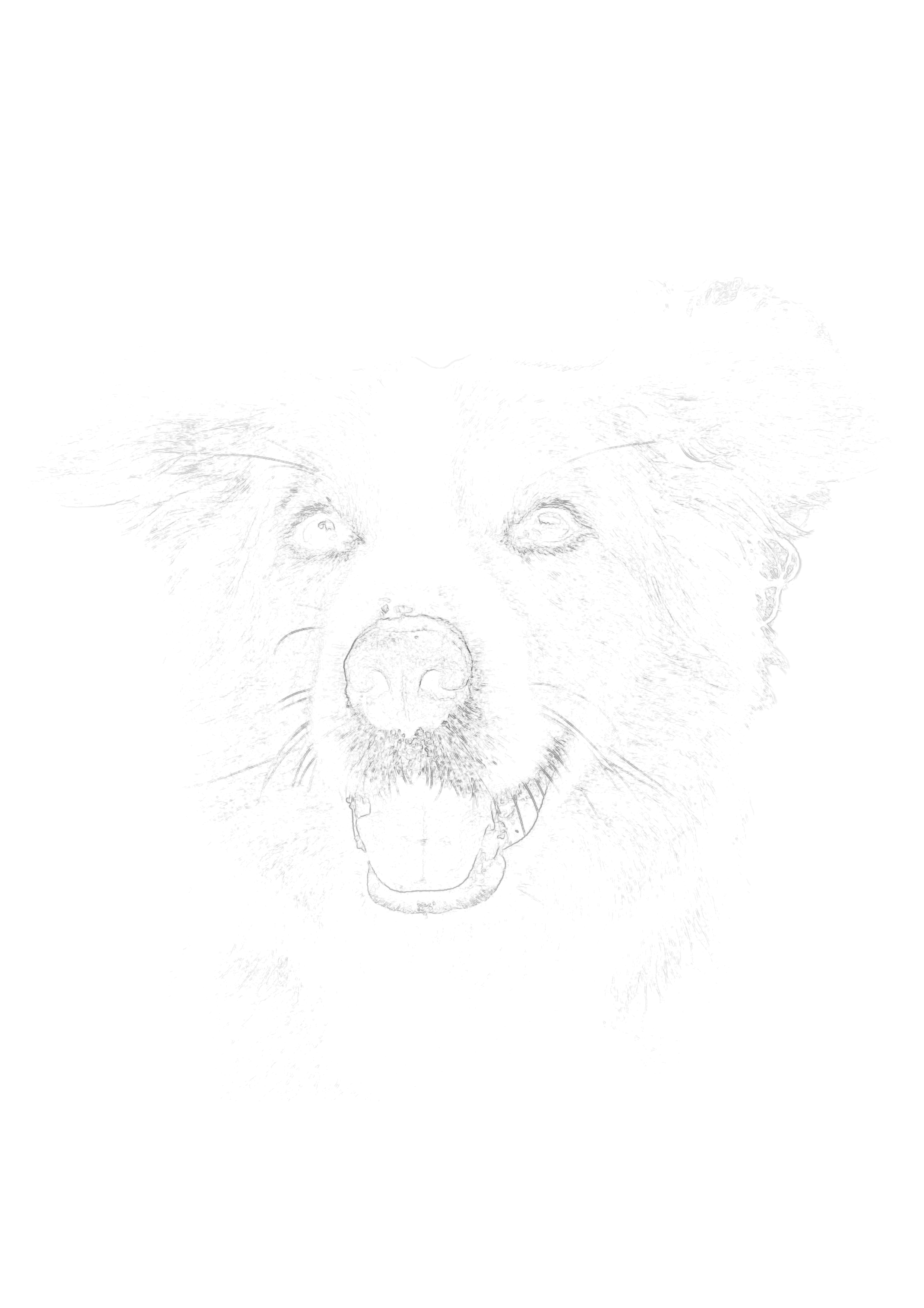 Custom sketch outline with adjusted sensitivity and background removed